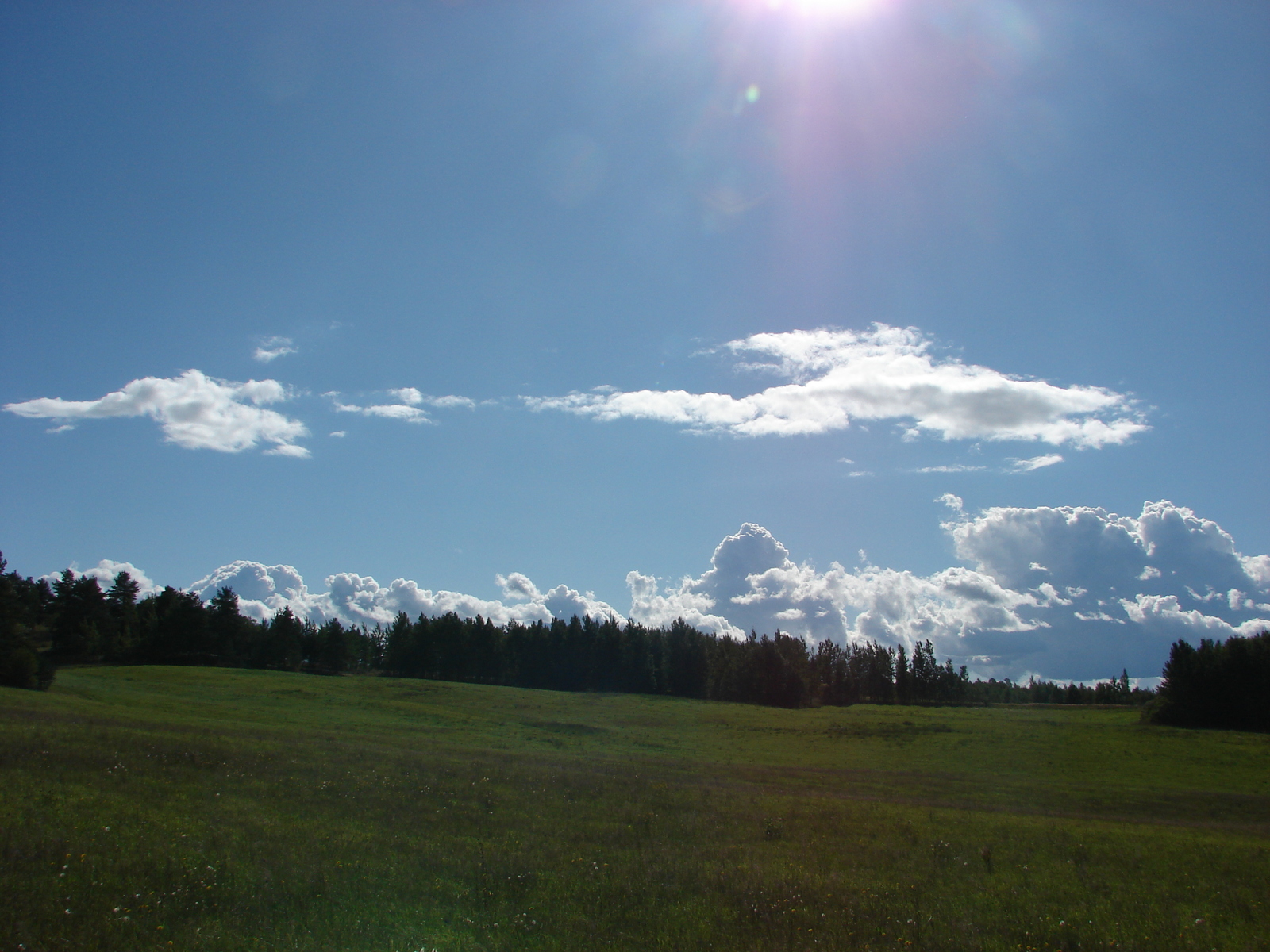 Sunny days of autumn - My, Hike, Nature, Autumn, Longpost