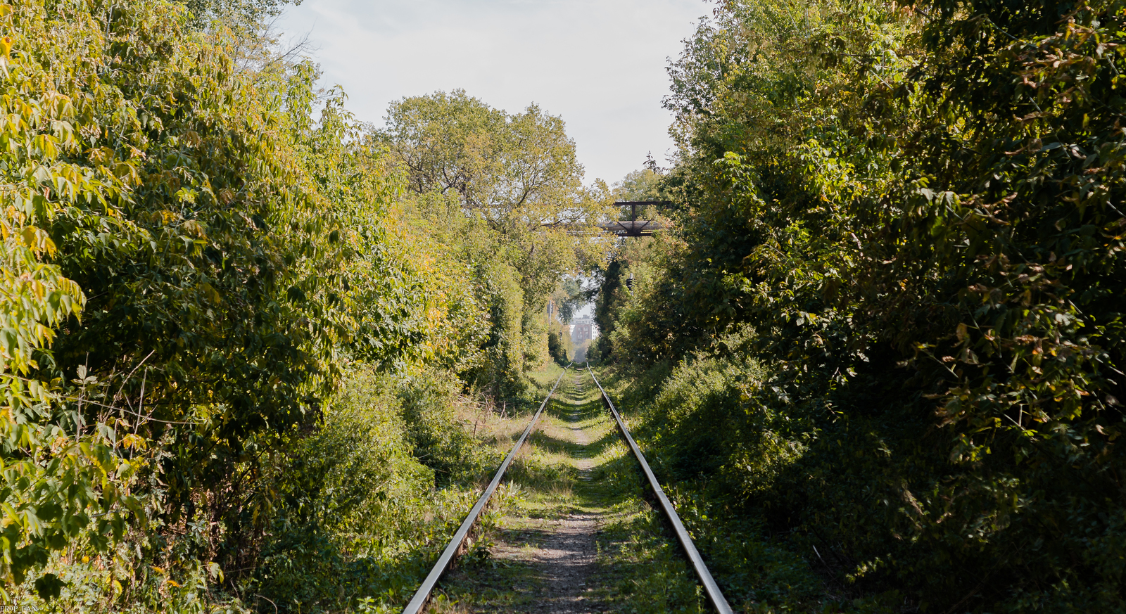 Old Park Novoproletarskaya station. - My, Russian Railways, Moscow, Railway, Kuzminki, Longpost, Favorite place