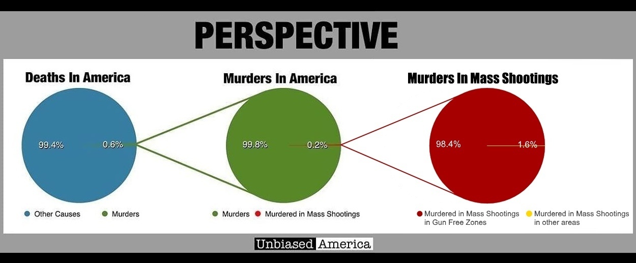 Mass shooting graphically. - Weapon, USA, Living abroad, Hoplophobia