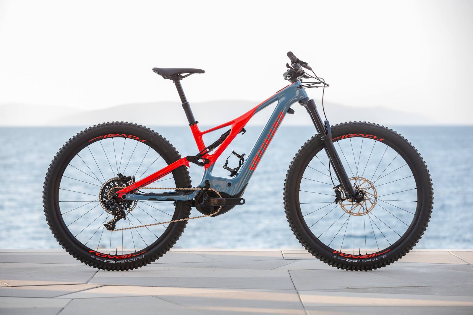 Specialized Levo 2019