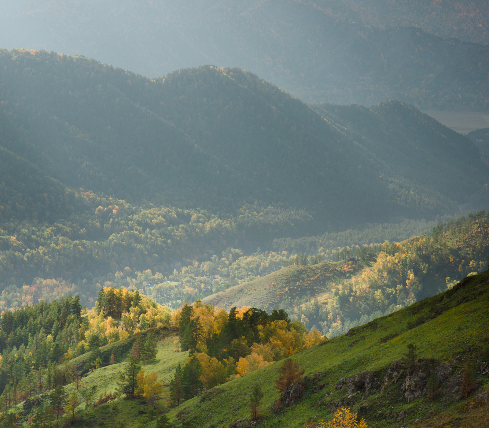 Some autumn colors of Altai. - My, Altai, Mountain Altai, Autumn, Pears, Tumbleweed, The photo, Altai Republic