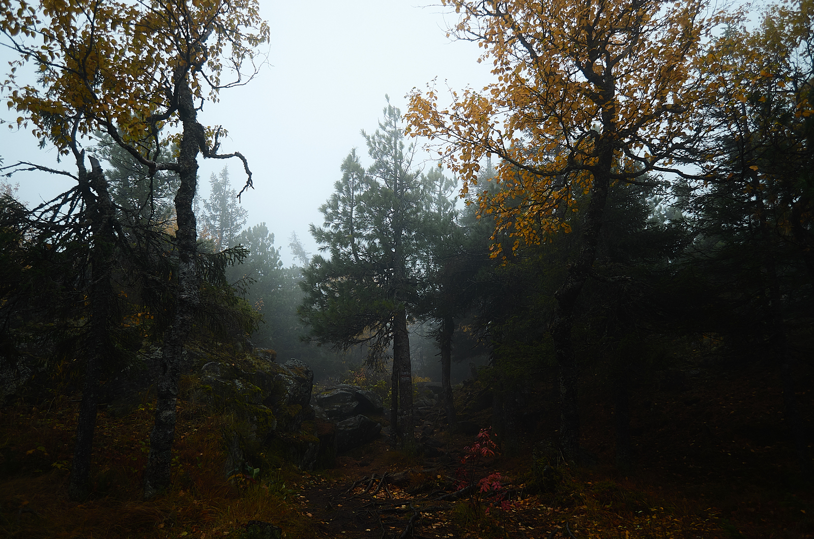 Autumn mood in the Urals. - My, The photo, Kachkanar, Temple, Buddhism, Landscape, Autumn, Sverdlovsk region, Ural mountains, Longpost