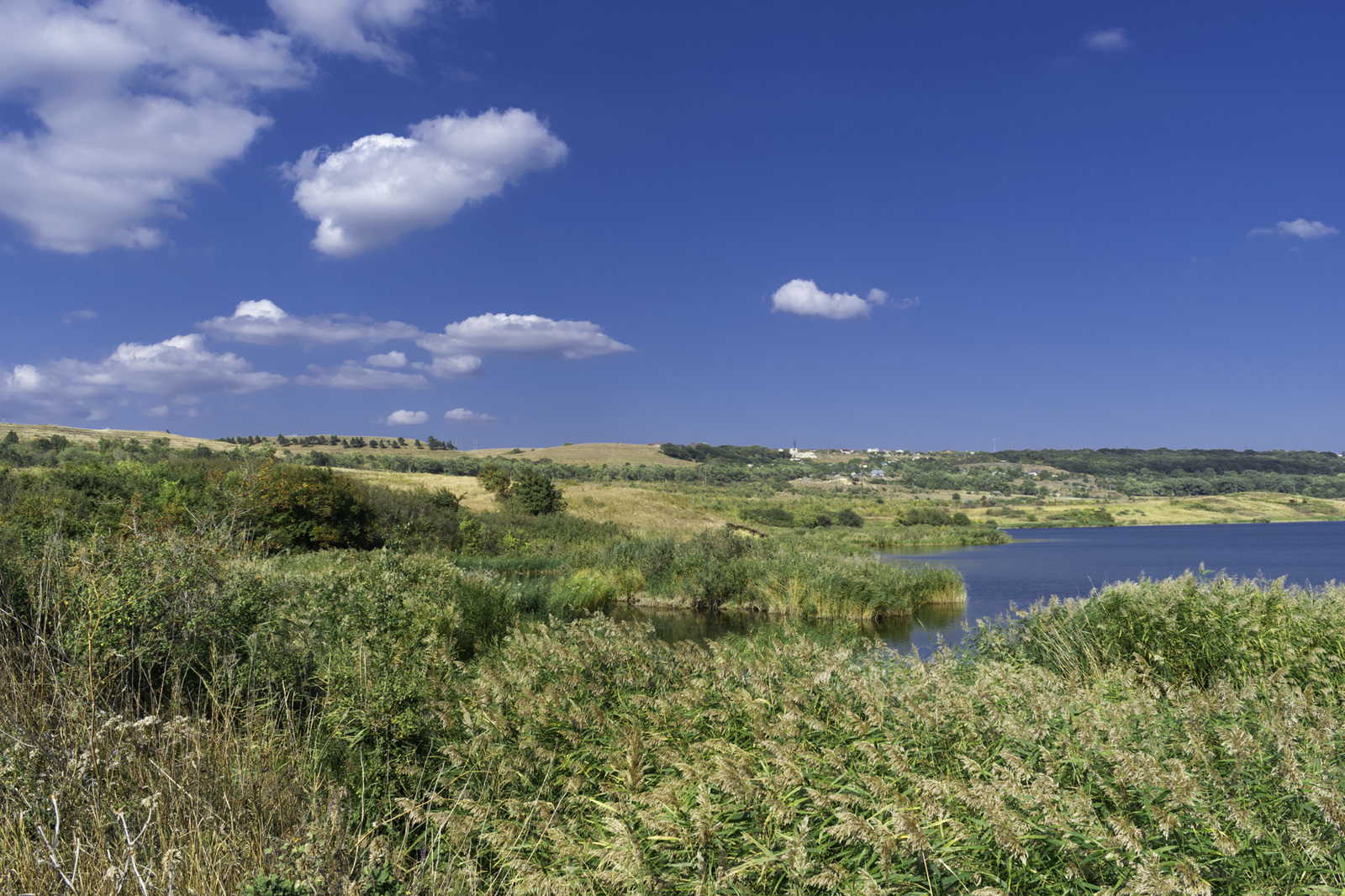 Outside the city - My, Outside the city, Reeds, Sky, Clouds, The photo