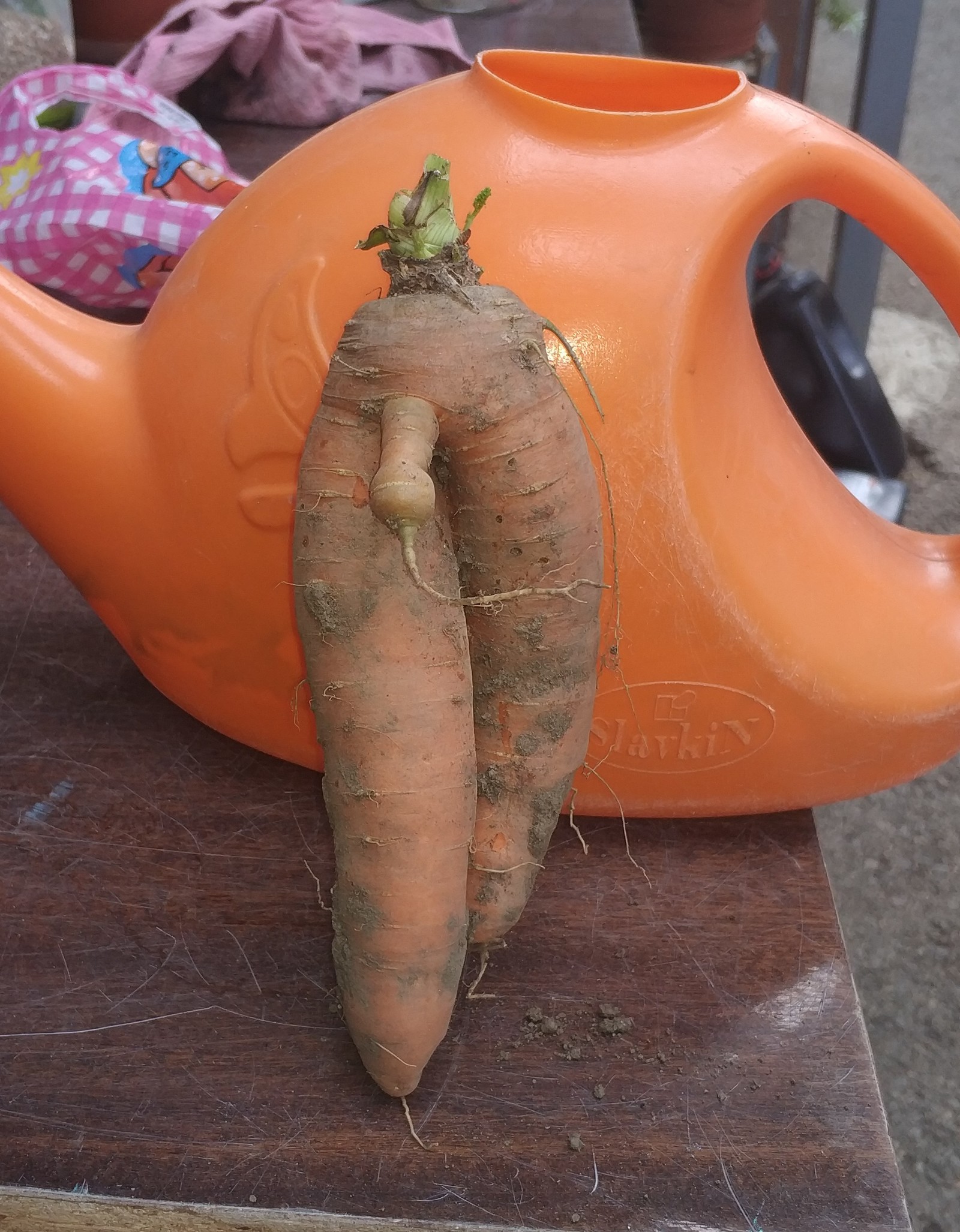 Harvest - My, Vegetables, Merry harvest