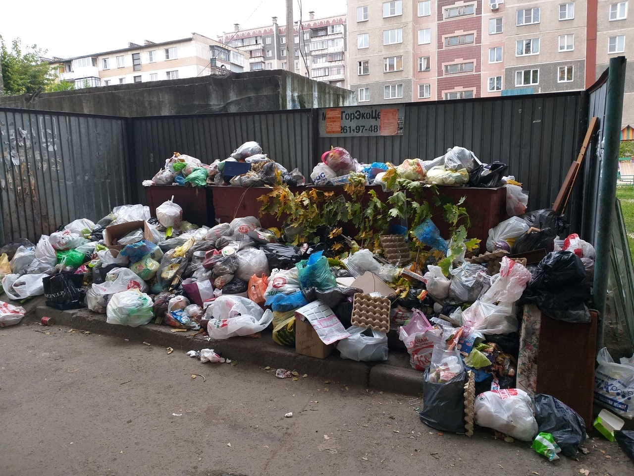 Chelyabinsk residents took out the garbage on their own. - My, Chistoman, Chelyabinsk, Garbage, Longpost