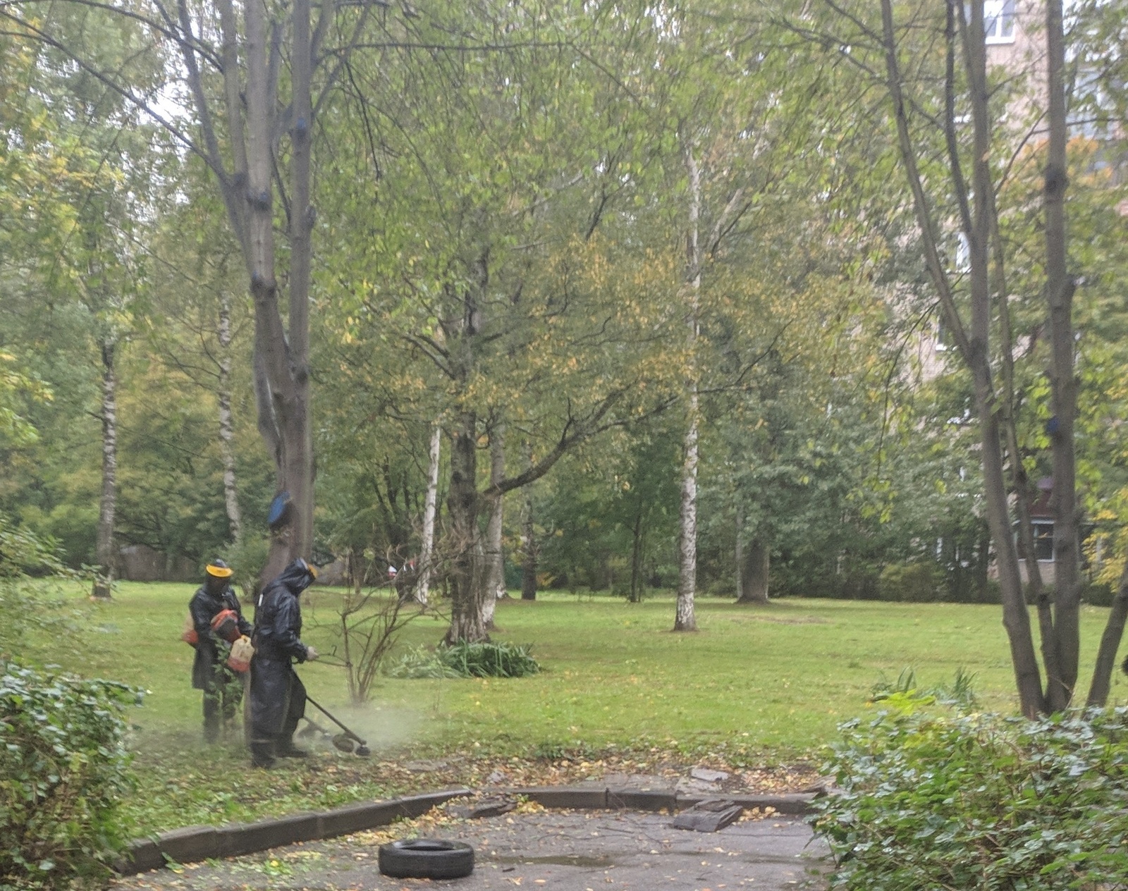 Mowing - My, Mowing, Rain, The photo