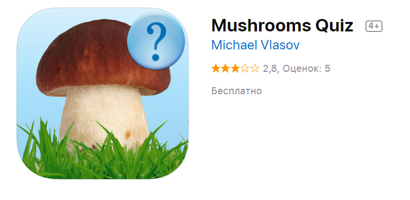 Mushrooms - questions what kind of mushroom is it possible to eat - Mushrooms, What kind of mushroom, Longpost