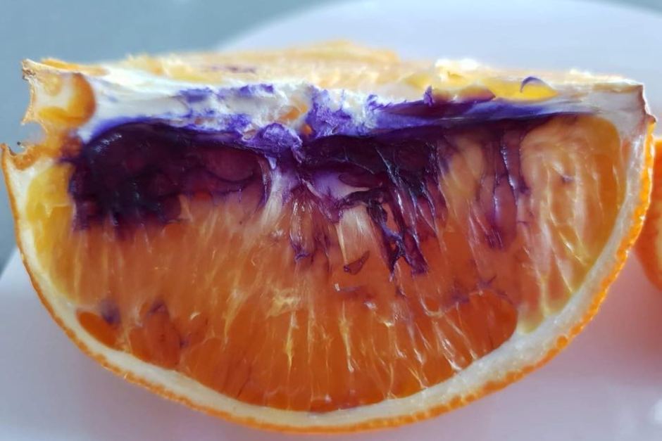 A freshly sharpened knife turned an Australian orange purple - The science, news, Chemistry, Orange, Interesting