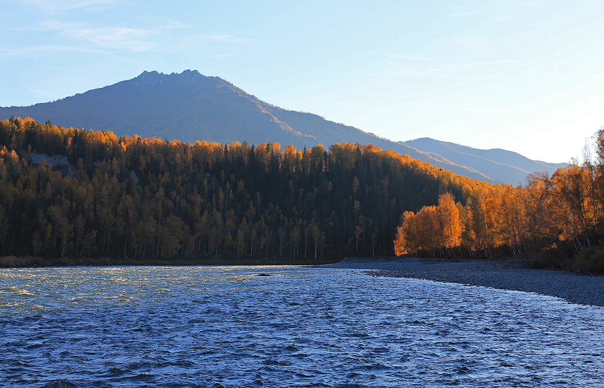 Katandinsky autumn - My, Altai, Autumn, The mountains, Katun, Altai Republic