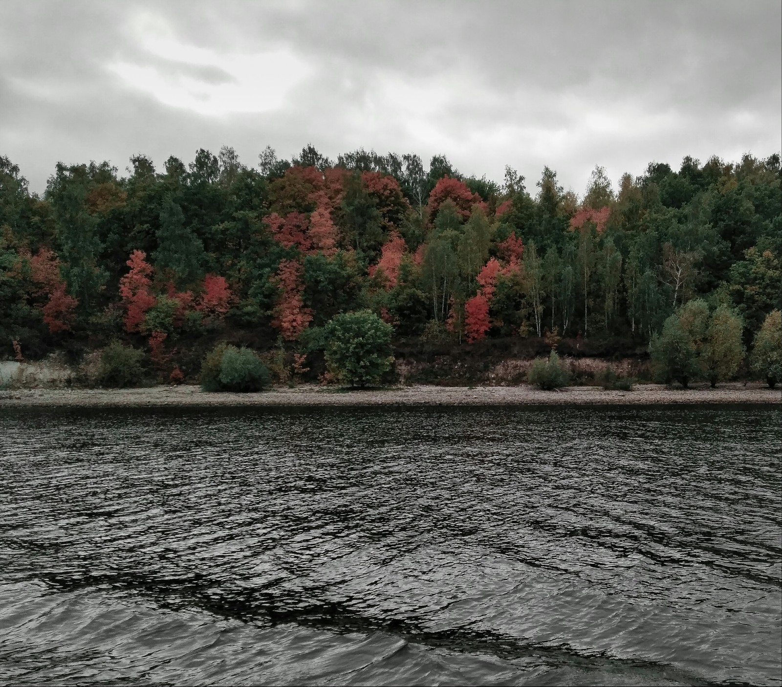 Some autumn photos - My, Autumn, Landscape, Mobile photography, Volga, Longpost, Volga river