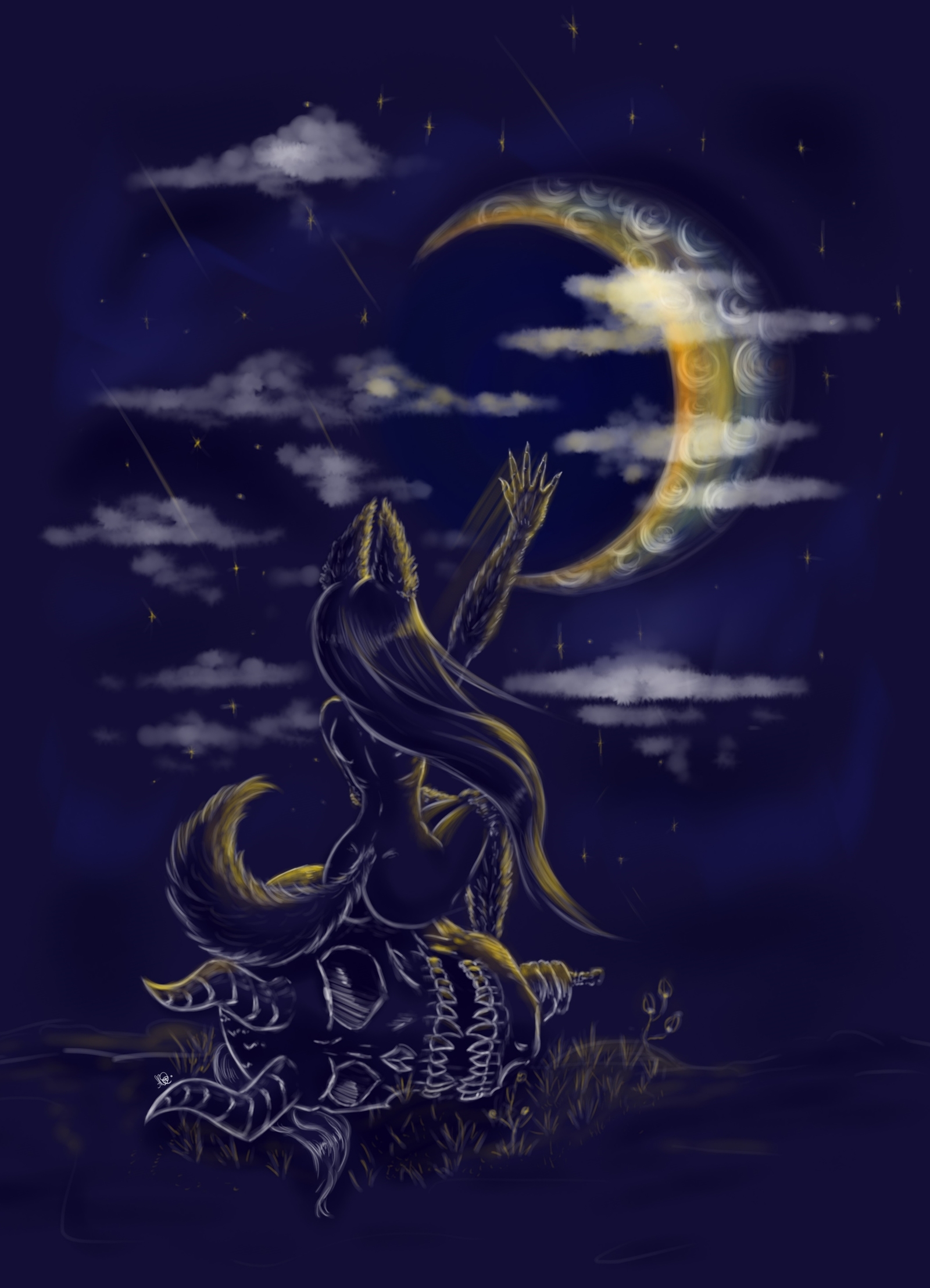 She-wolf in the moonlight - My, She-wolf, , , Stars, Night, , Stars