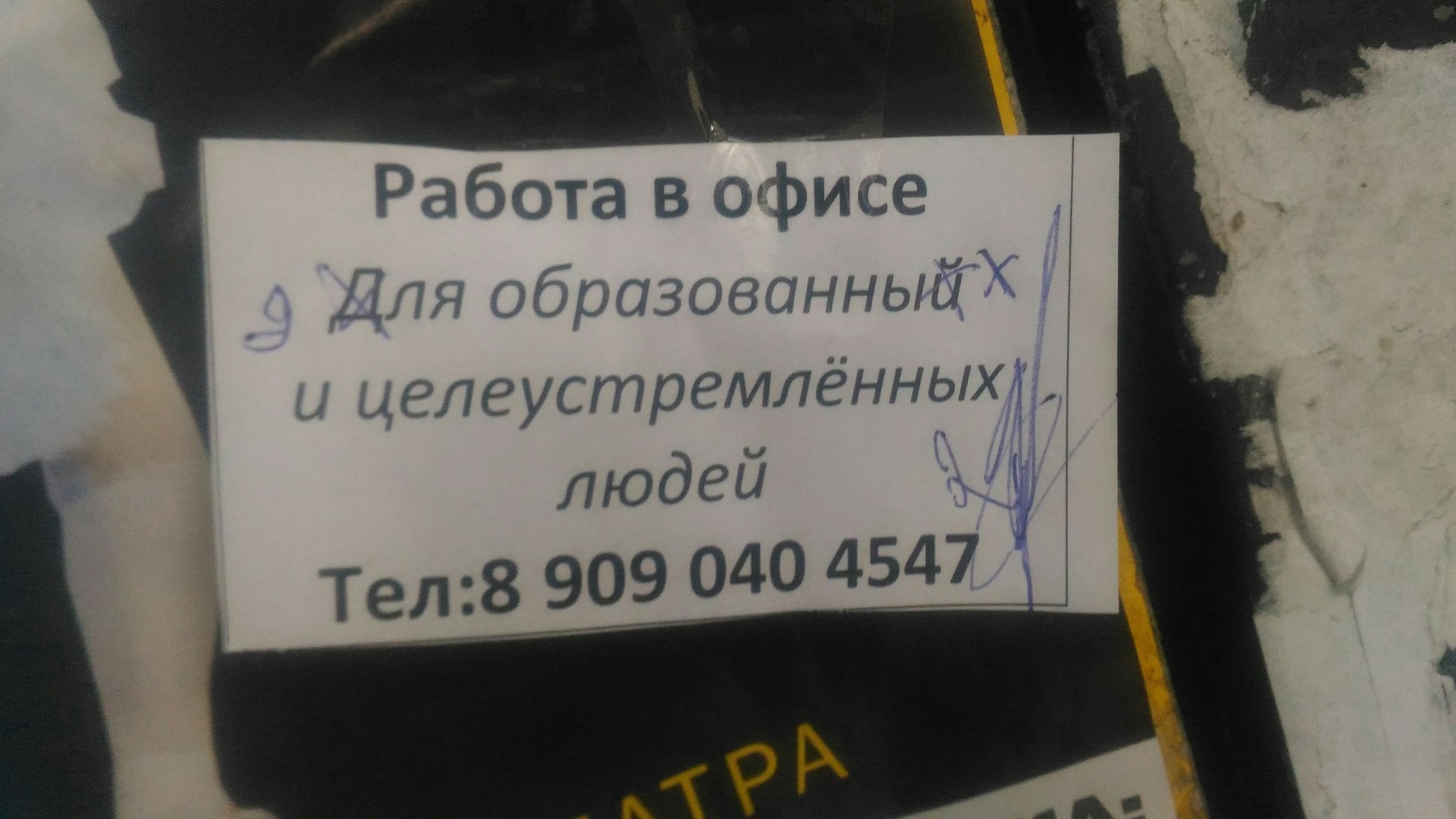 Тест на проф. Пригодность - Граммар-Наци, Грамматические ошибки, Объявление