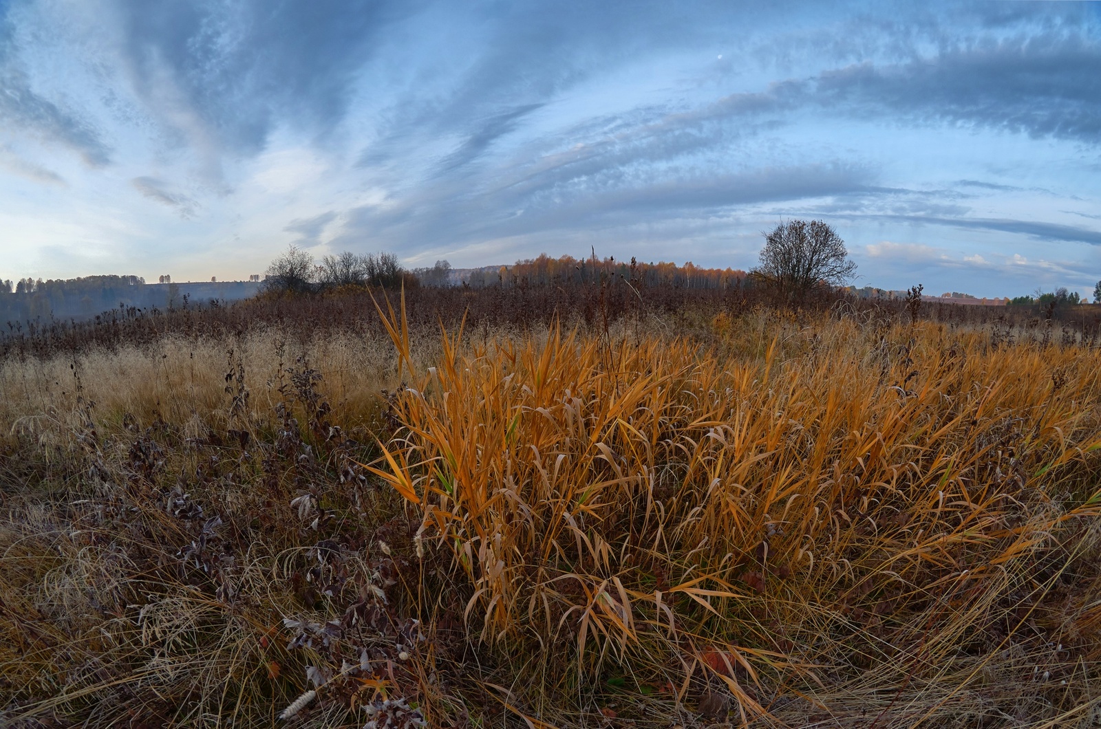 Сибирская осень - Моё, Осень, Сибирь, HDR, Природа, Длиннопост, Фишай