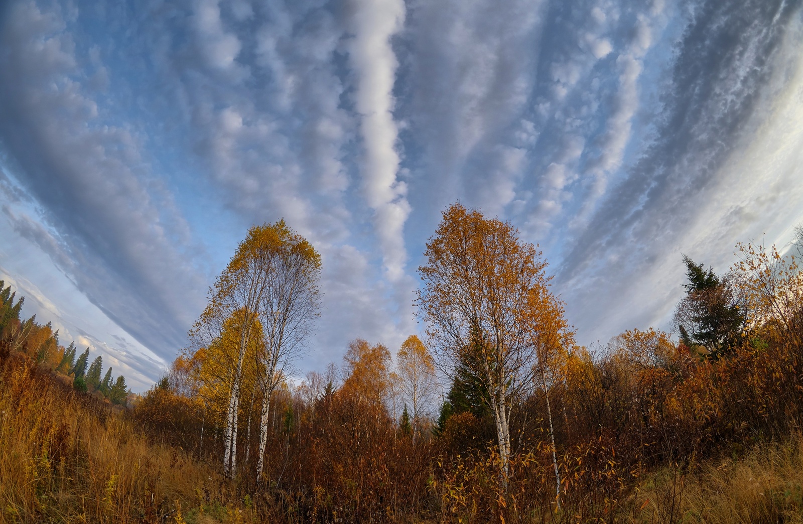 Сибирская осень - Моё, Осень, Сибирь, HDR, Природа, Длиннопост, Фишай