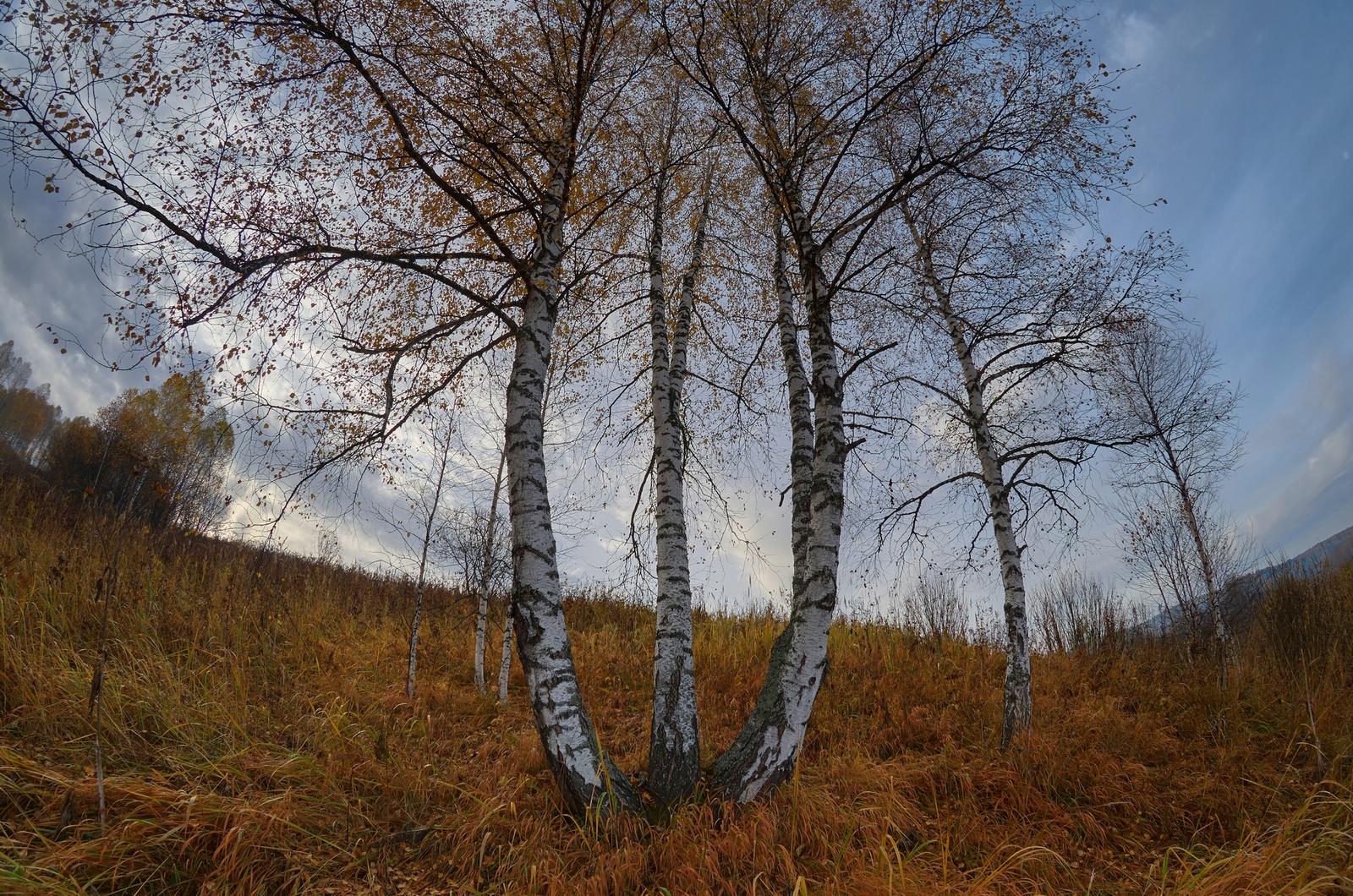 Сибирская осень - Моё, Осень, Сибирь, HDR, Природа, Длиннопост, Фишай