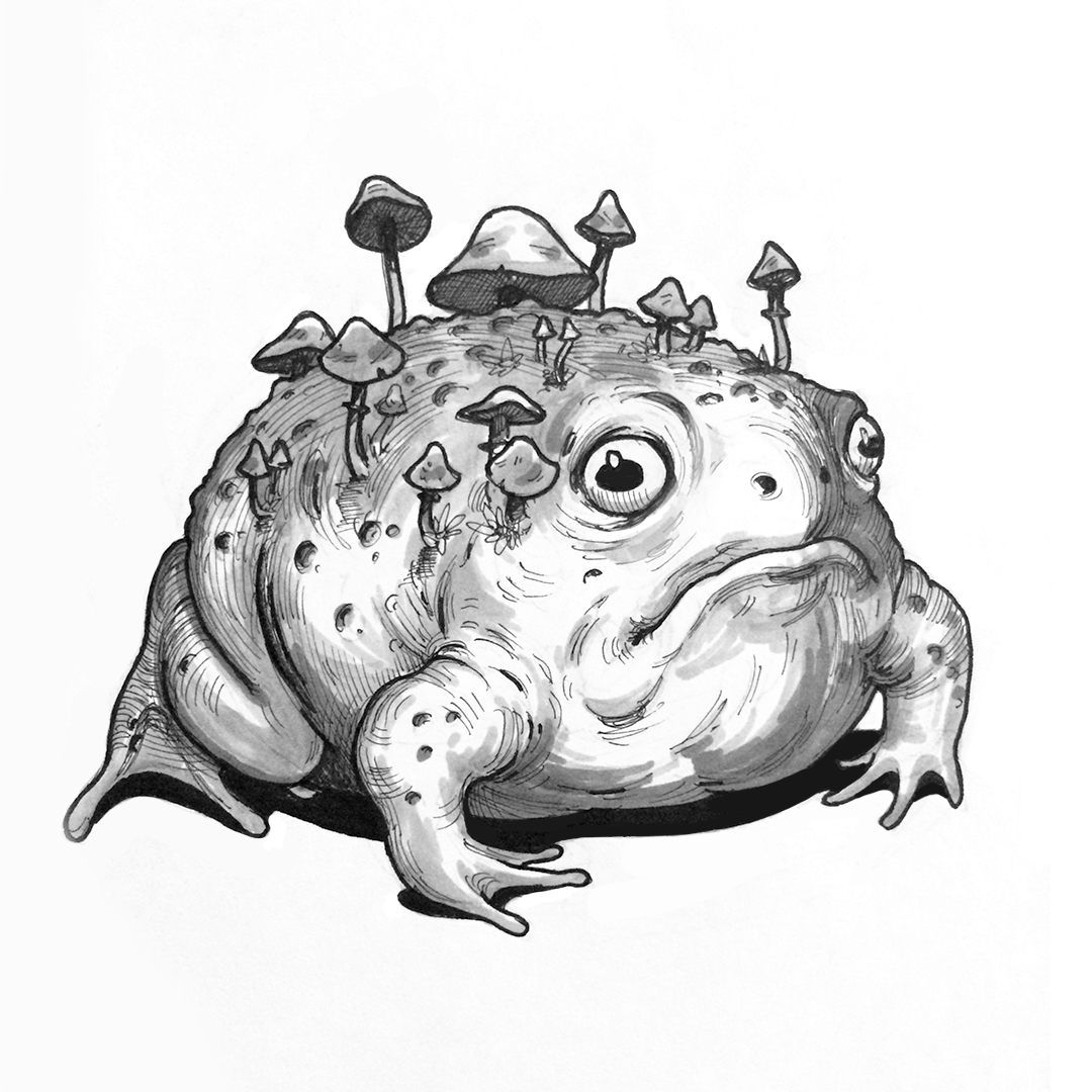 Толстая жаба арт