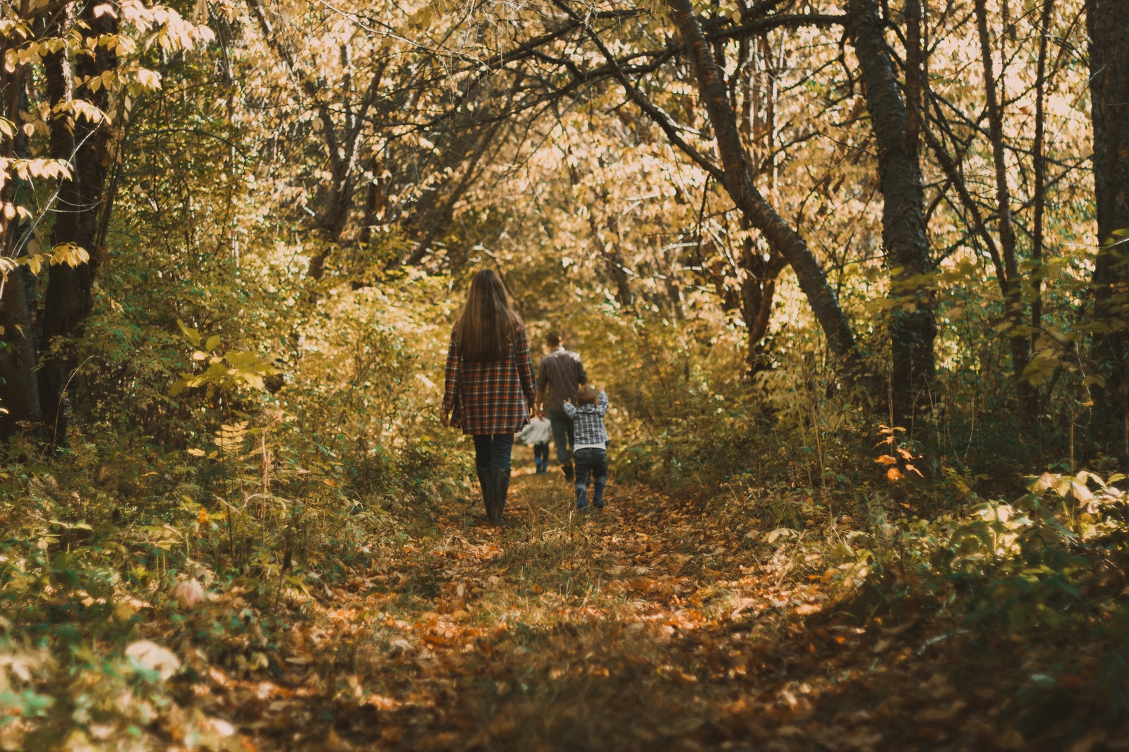 I'm starting a new path... - My, The photo, Autumn, Walk, Lightroom, Canon EOS 550D, 50mm, Color correction, Arboretum, Longpost