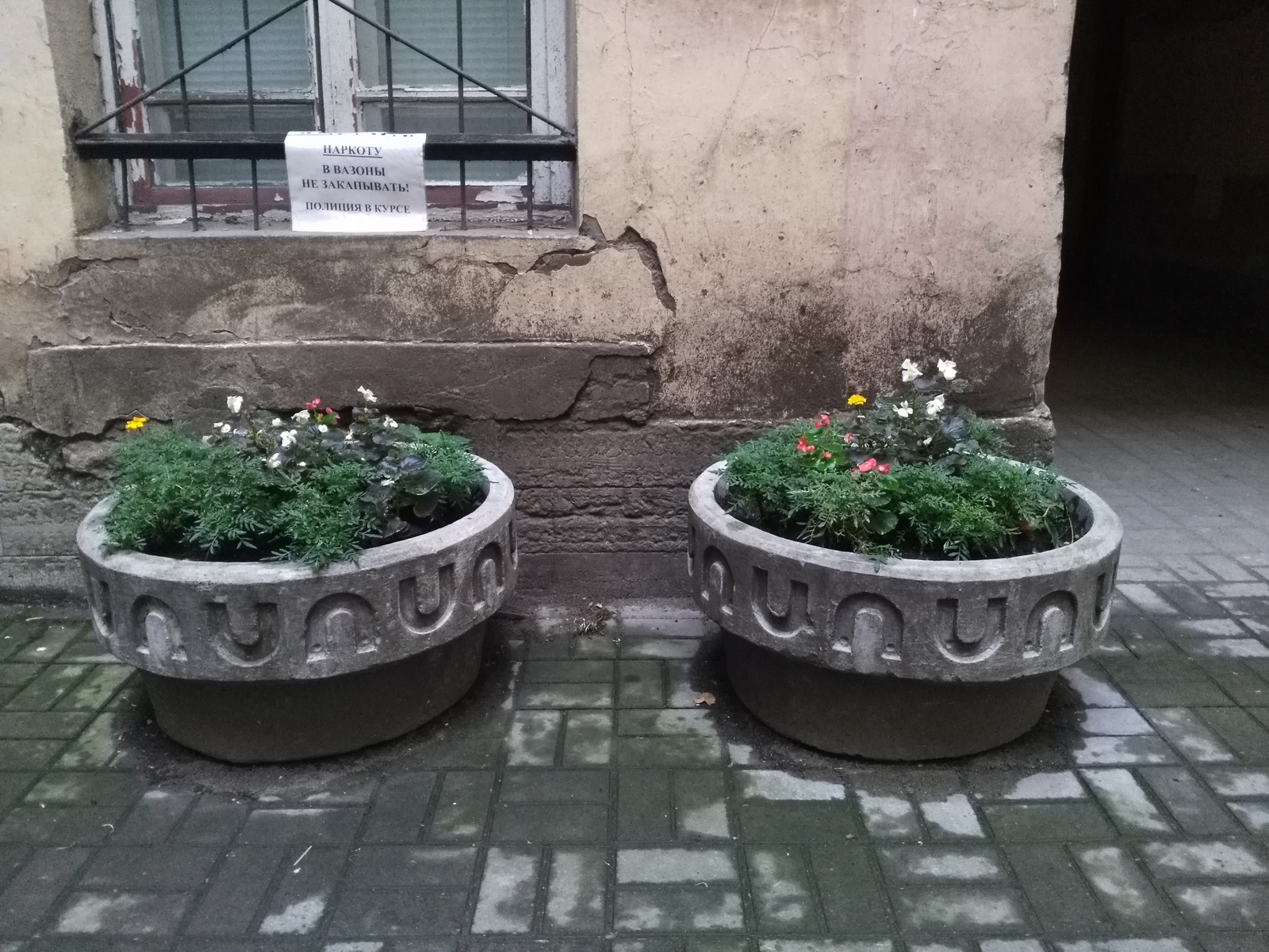 Petersburg courtyard. - My, Saint Petersburg, Yards of St. Petersburg, , Pot, , Longpost, Courtyard, 