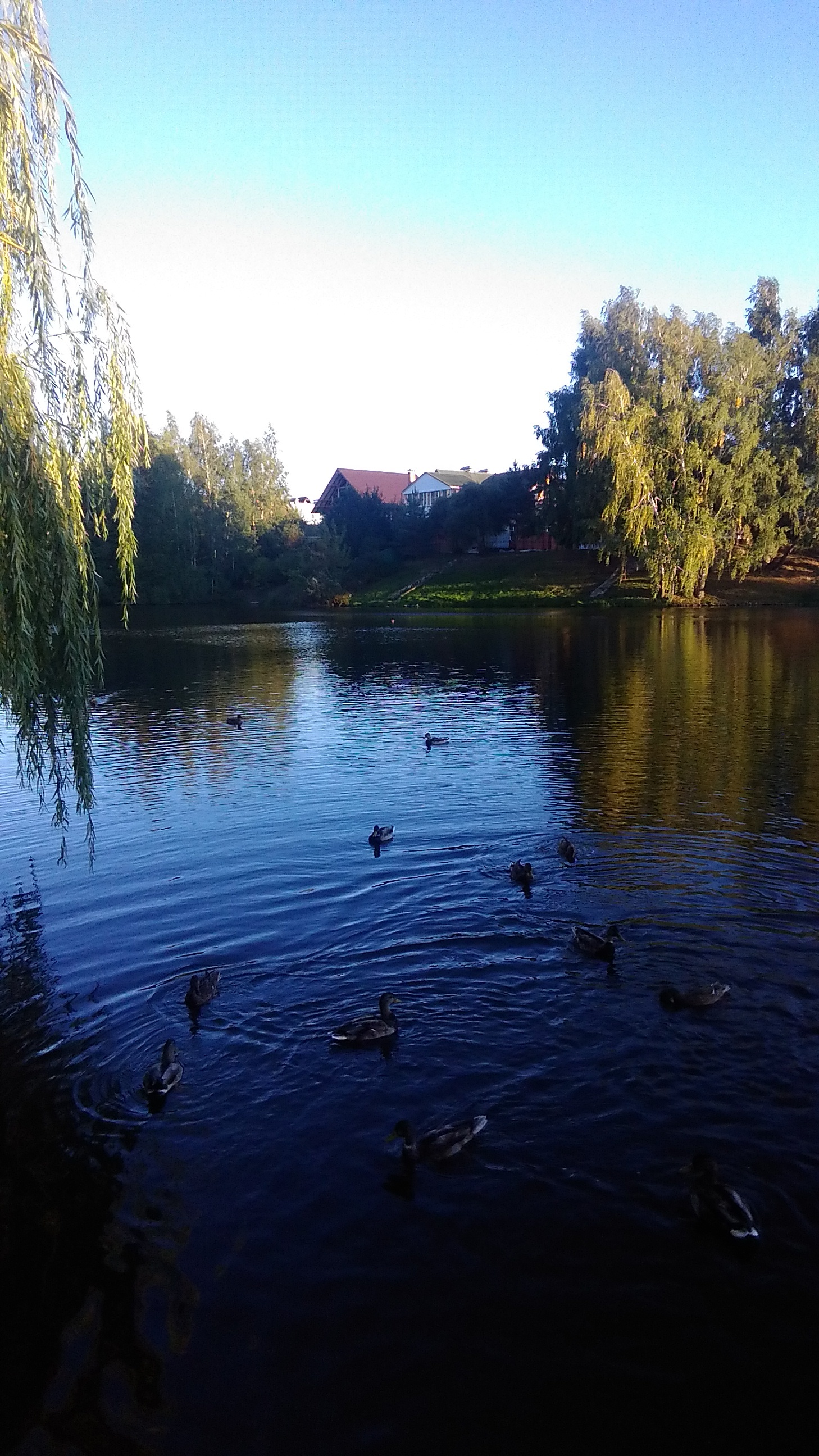 Photo of hometown - My, The photo, Town, The street, Autumn, Longpost