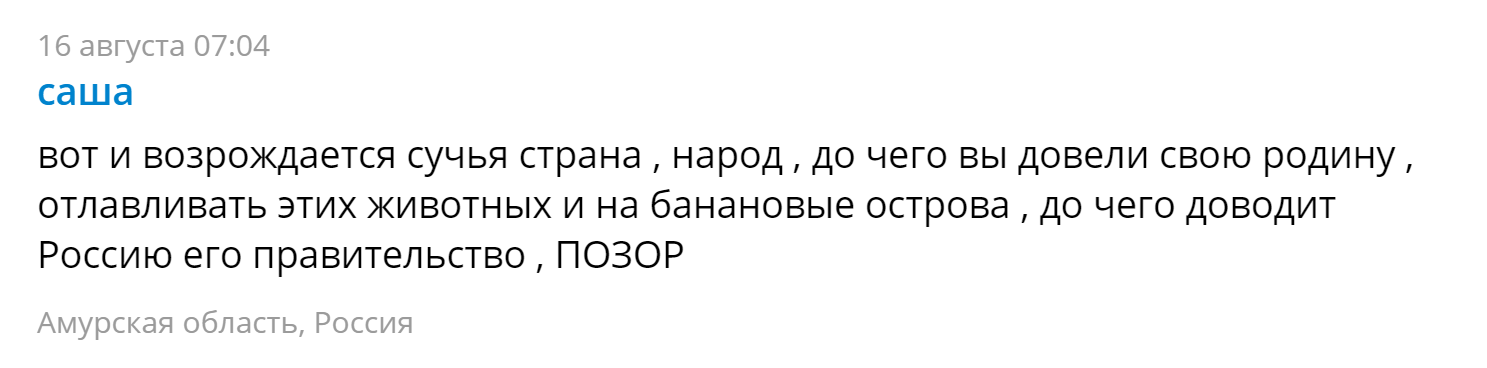 Ч-Читатели, Г-Гомофобия - Исследователи форумов, Гомофобия, Длиннопост, Литдекаф