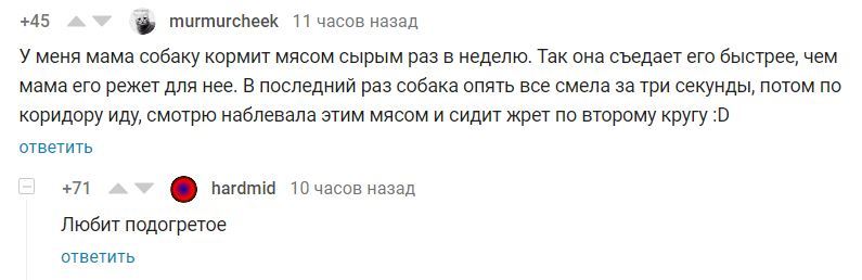 Пес патологоанатом - Собака, Еда, Подогрев, Комментарии