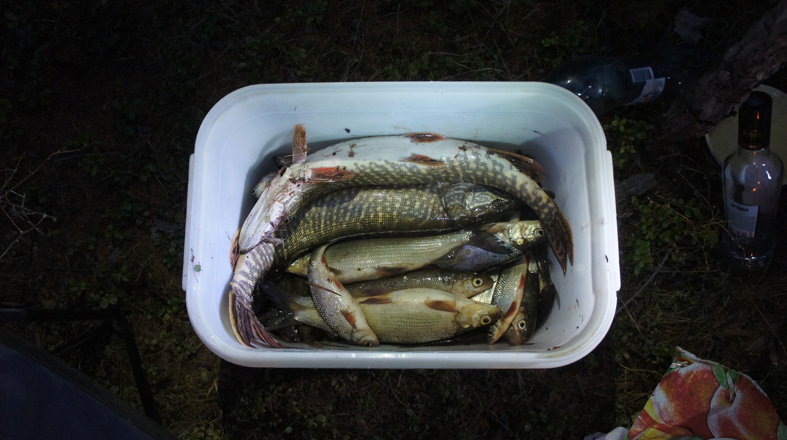 Lena tributary - Keteme - My, Pike, Whitefish, Redfish, Lena river, Inflatable boat, Bloater, Ear, Ice drift, Longpost