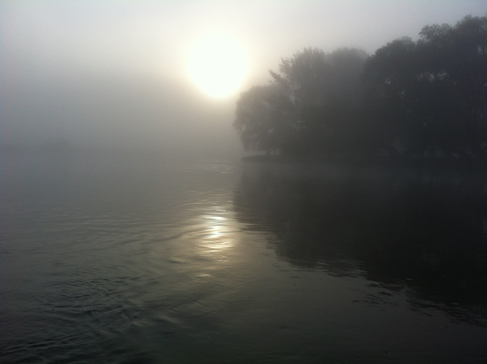 The charm of the Yuryuzan and Ai rivers and their inhabitants - My, River, Yuryuzan, River Ai, Fishing, Chub, , Longpost