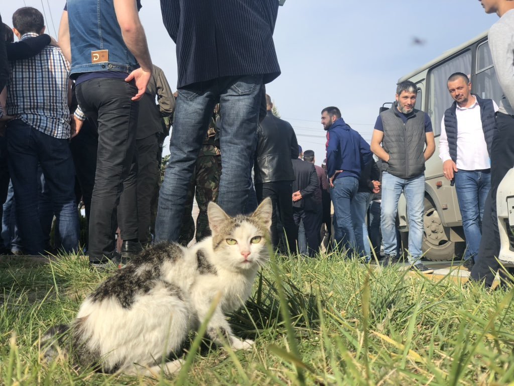 Что сейчас происходит в Ингушетии. - Политика, Ингушетия, Чечня, Протест, Видео, Длиннопост