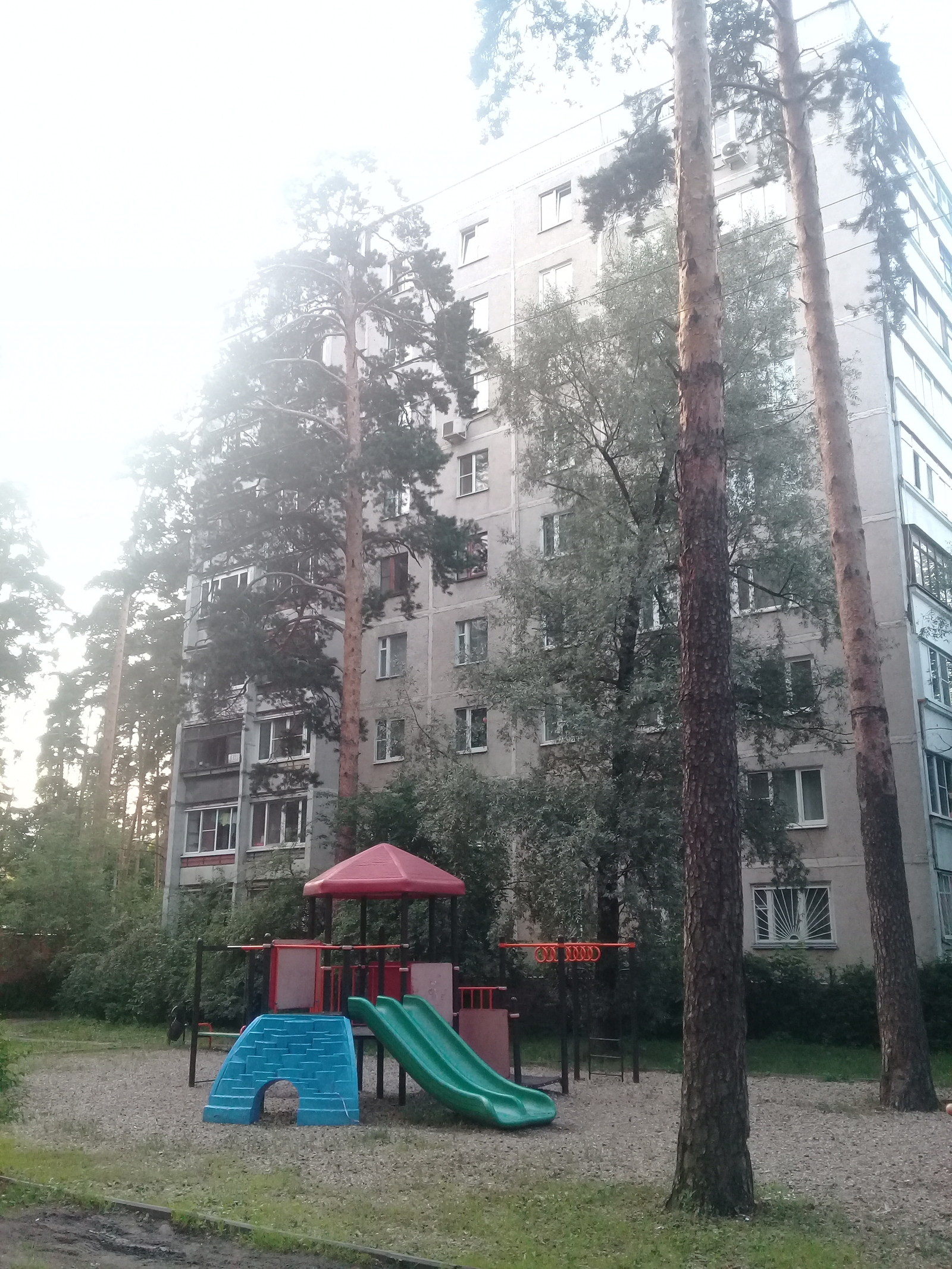 Жуковский - город в соснах | Пикабу
