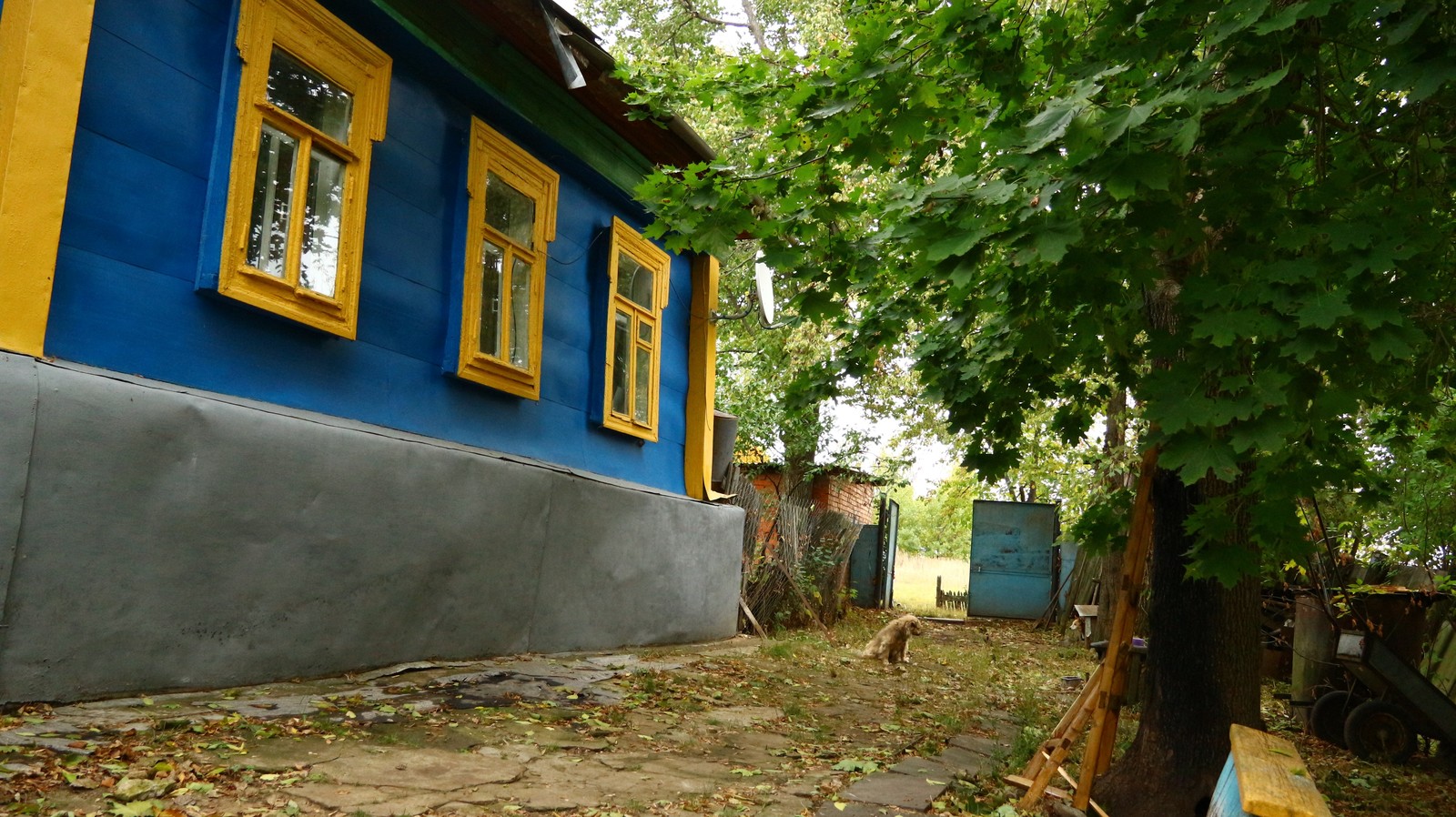 A little autumn weekend in the countryside. - My, Village, The photo, Autumn, cat, Longpost