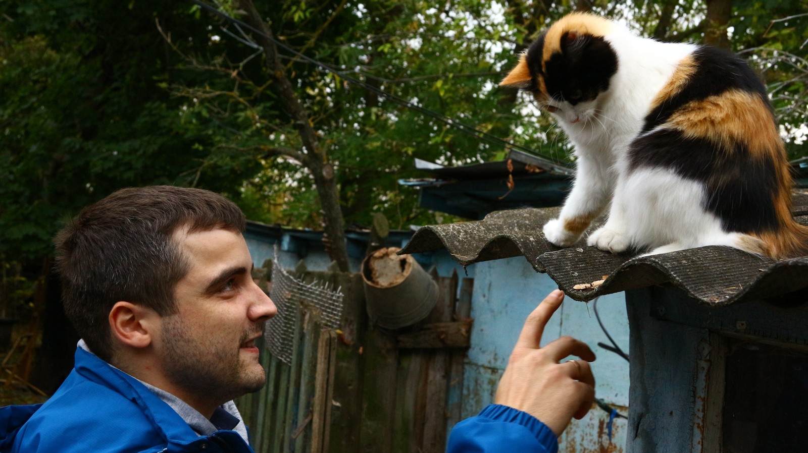 A little autumn weekend in the countryside. - My, Village, The photo, Autumn, cat, Longpost