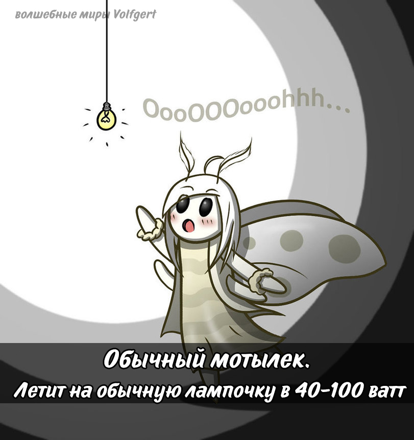 Moths, such moths - Butterfly, Memes, Лампа, Magical worlds volfgert