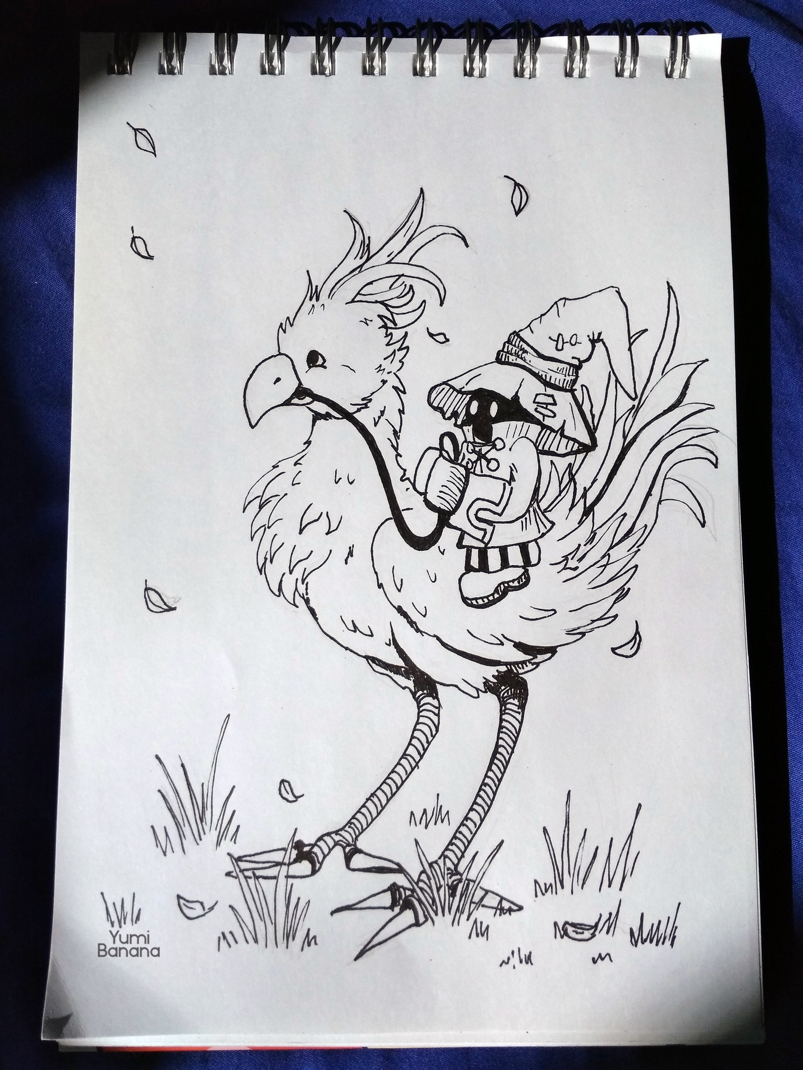 Чоко! - Моё, Арт, Рисунок, Inktober, Inktober2018, Final Fantasy IX, Chocobo, Vivi, Yumi Banana