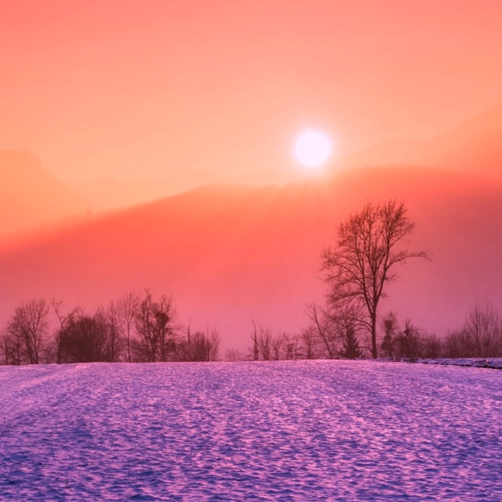 Winter's tale - Winter, The sun, Snow, Field, Beautiful view, Landscape, beauty of nature