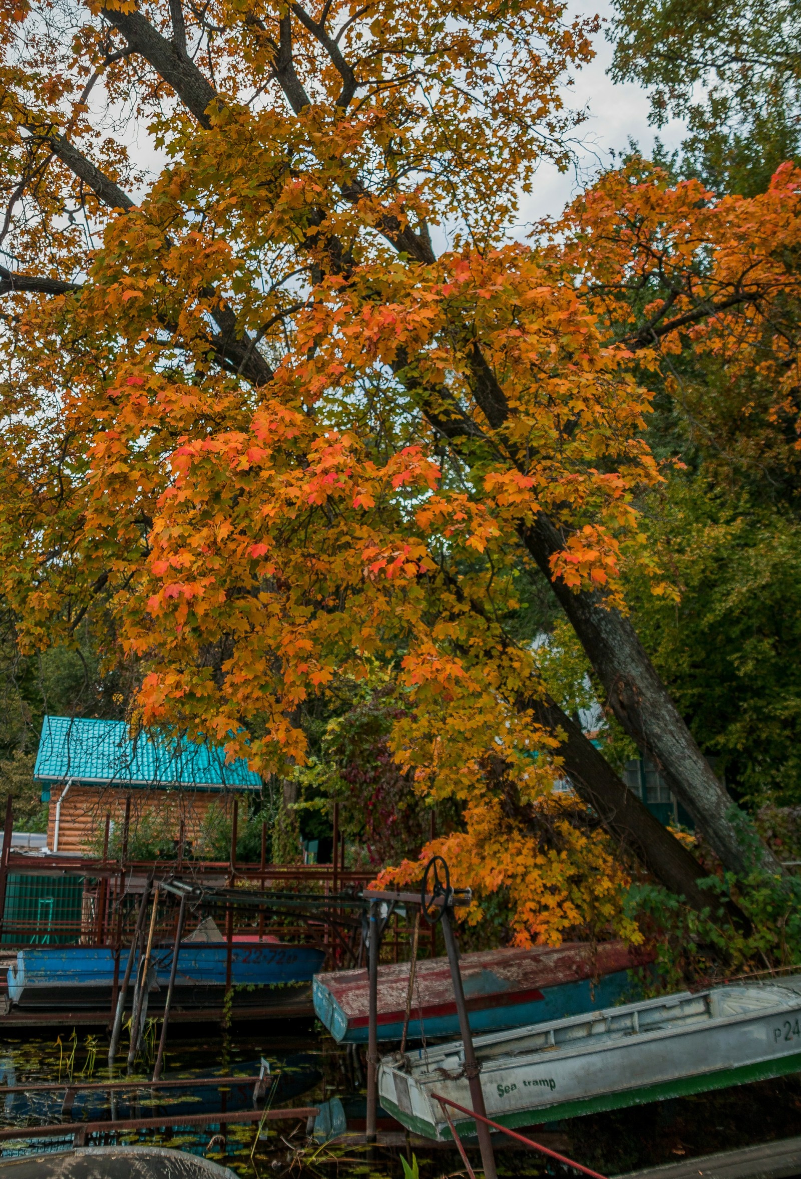 fishing village - My, Voronezh, Autumn, The photo, Longpost