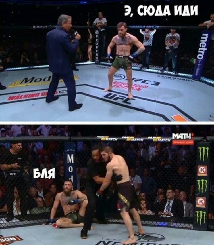 Коротко о прошедшем поединке - Бой, UFC, Конор МакГрегор, Хабиб Нурмагомедов, Мат, Юмор