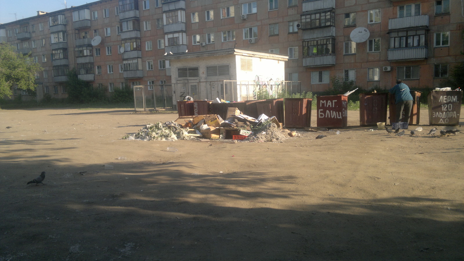 Different types of town - My, Kazakhstan, Pavlodar, cat, Trash can, , Vandalism, Longpost