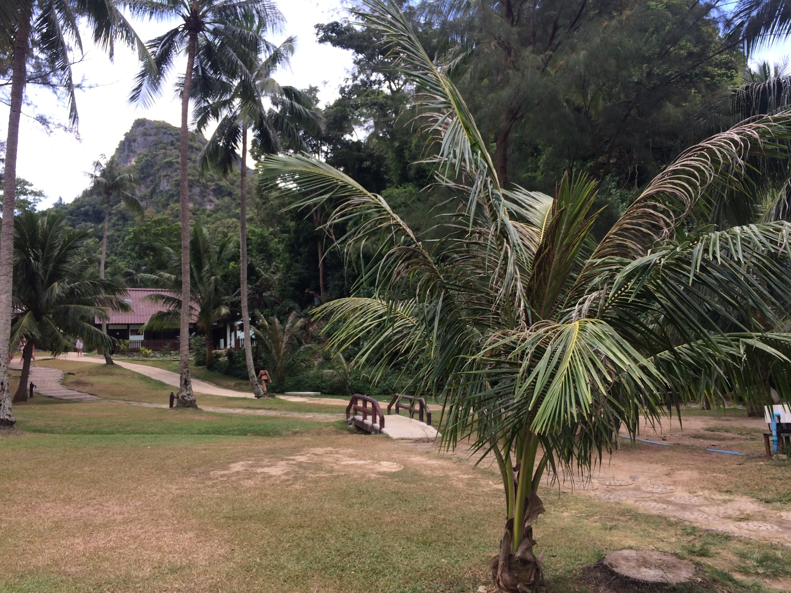 Anthong National Marine Park - where to go from Koh Samui for the wonders of nature - My, Thailand, Travels, Leisure, Koh Samui, Nature, Reserves and sanctuaries, Sea, Longpost