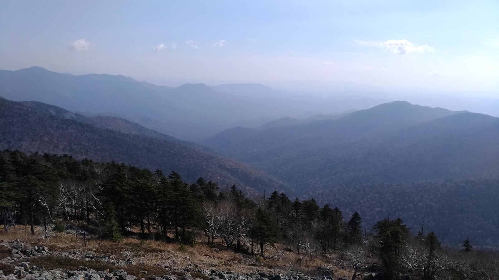 Mount Falaza, she is Lithuanian - My, Hike, The mountains, Primorsky Krai, Sikhote-Alin, Nature, Falasa, Longpost, Mount Falaza