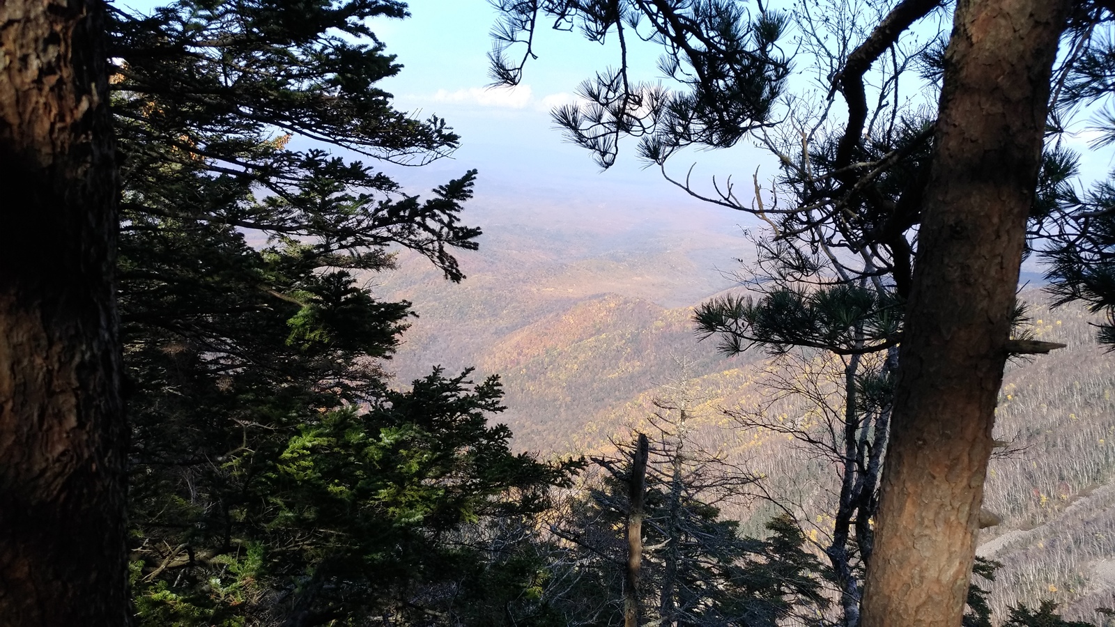 Mount Falaza, she is Lithuanian - My, Hike, The mountains, Primorsky Krai, Sikhote-Alin, Nature, Falasa, Longpost, Mount Falaza