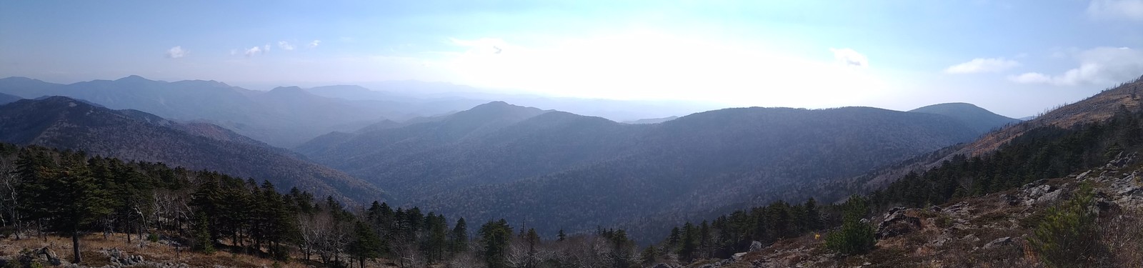 Mount Falaza, she is Lithuanian - My, Hike, The mountains, Primorsky Krai, Sikhote-Alin, Nature, Falasa, Longpost, Mount Falaza