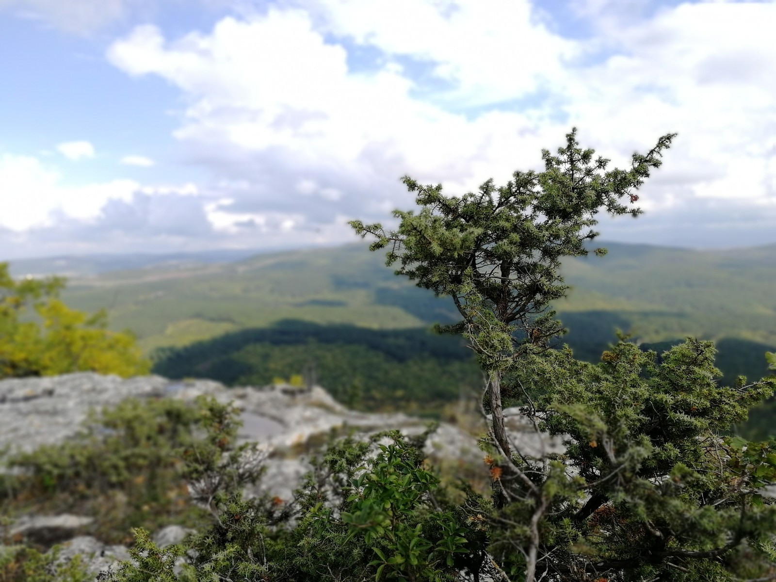 Где-то в Крыму - Моё, Начинающий фотограф, Крым, Евпатория, Бахчисарай, Длиннопост