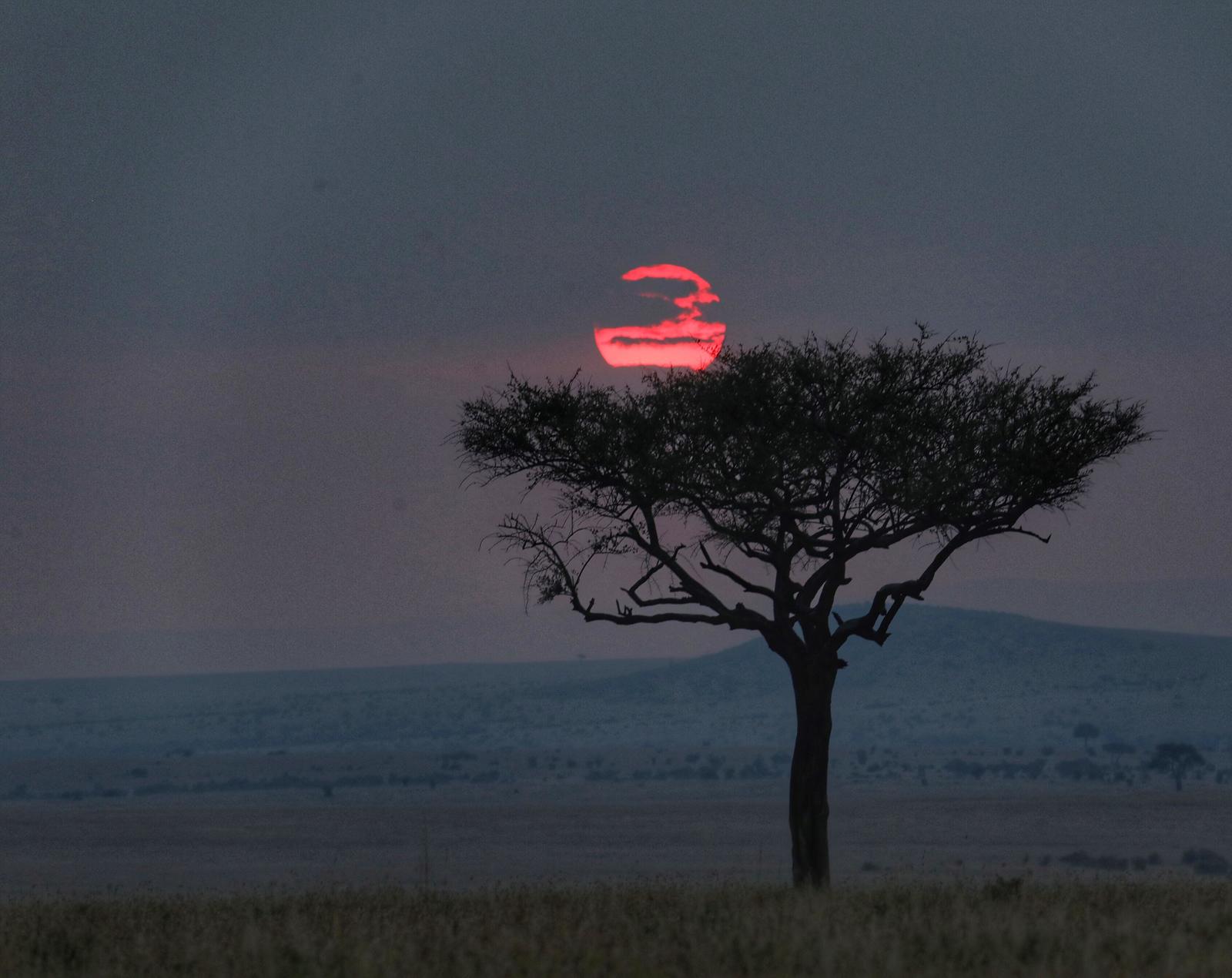 Sunset in Kenya - Nature, beauty of nature, Kenya, Sunset