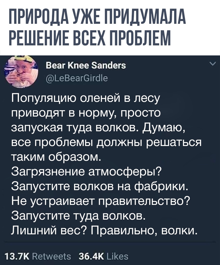 Когда волки решают всё - Волк, Twitter