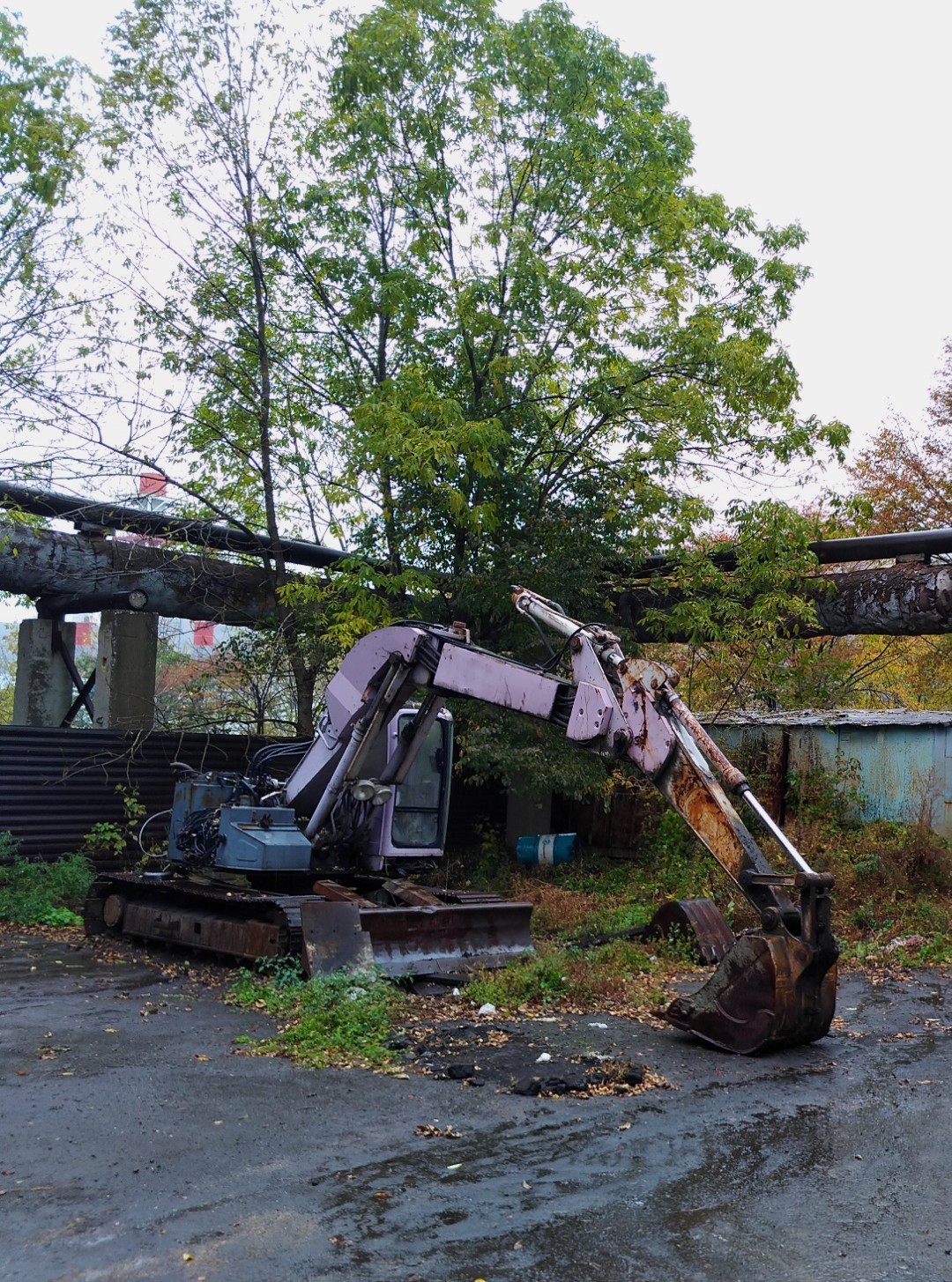 Autumn - My, Autumn, Excavator