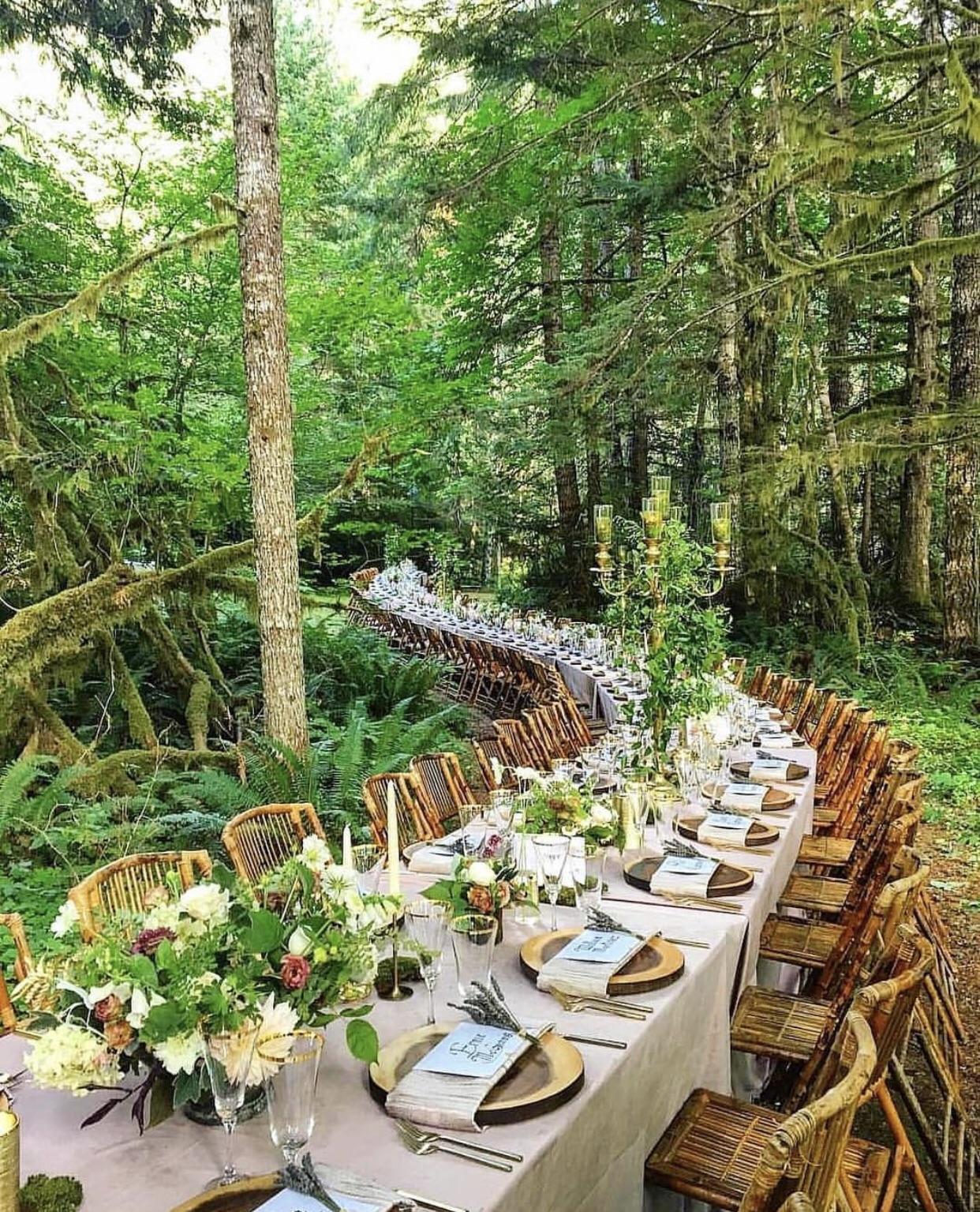 Unusual wedding table - Nature, beauty of nature, Table, Wedding, The photo