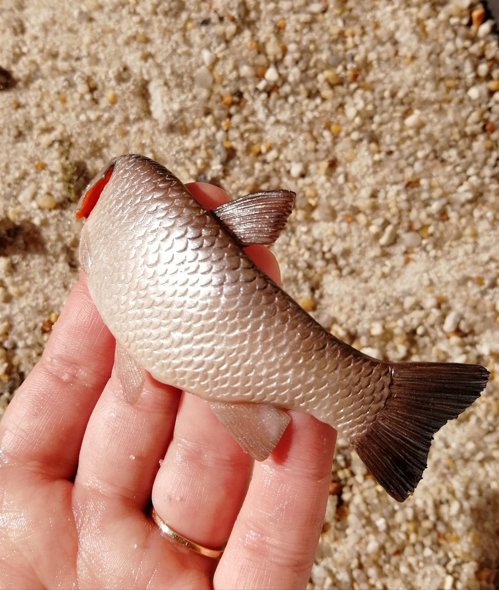 Sunday Brainstorming - My, A fish, Needlework without process, Needlework, Creation, With your own hands, Fishing, Mystery, Question, Longpost