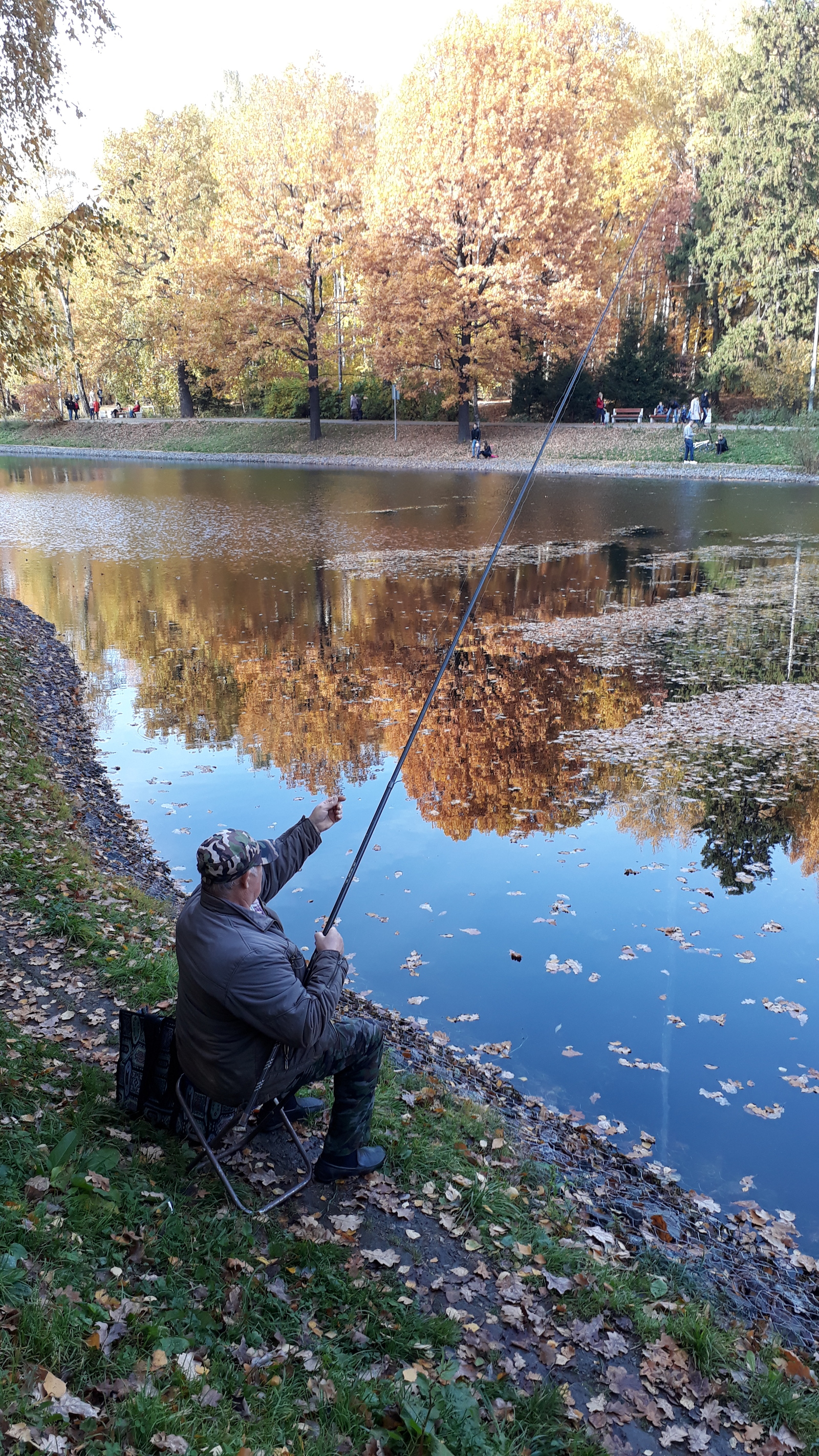 Pond in Lianozovo park. Moscow - My, Moscow, The park, Lianozovsky Park