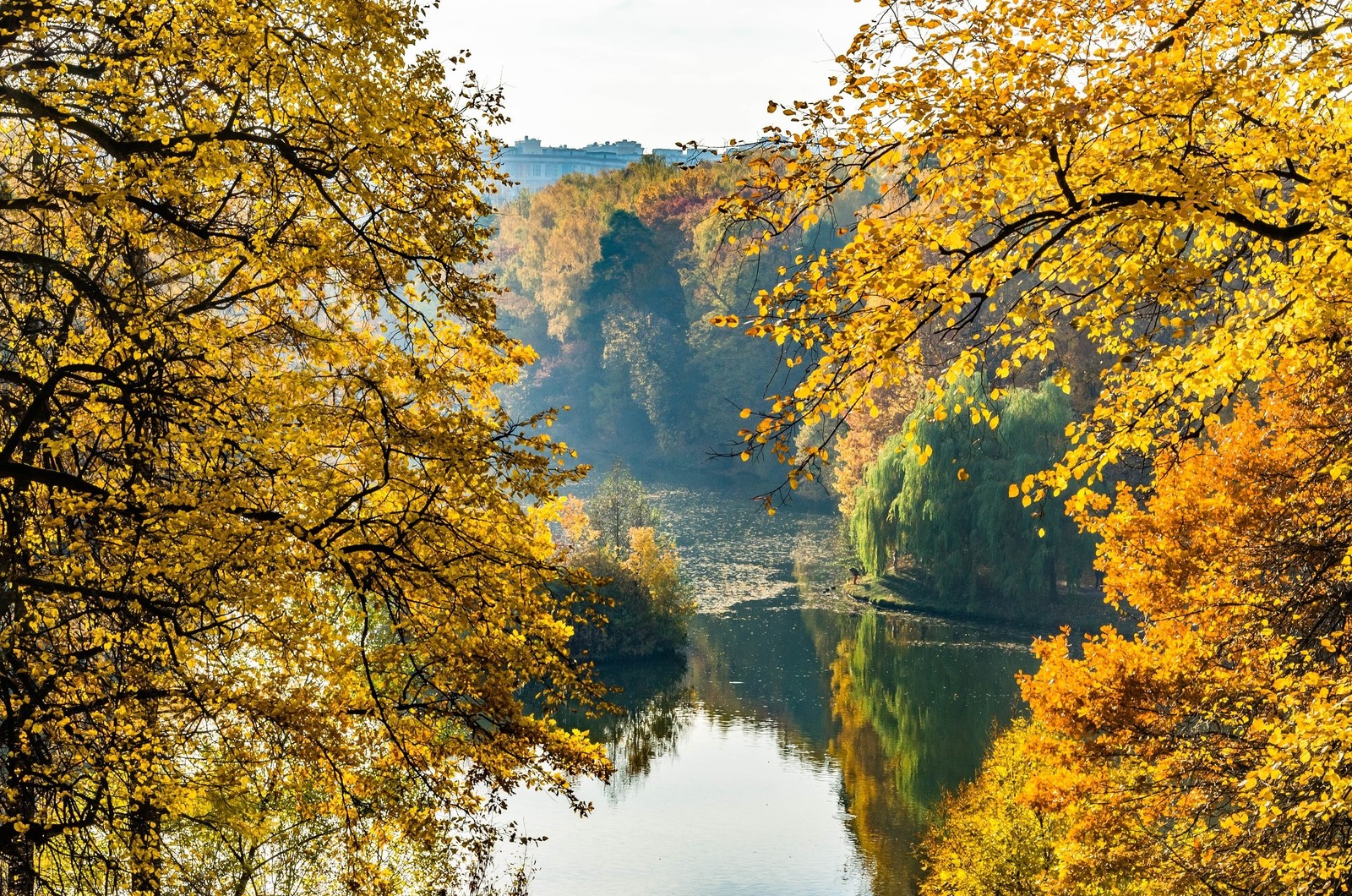 Autumn - My, Autumn, Landscape, Nature, Longpost