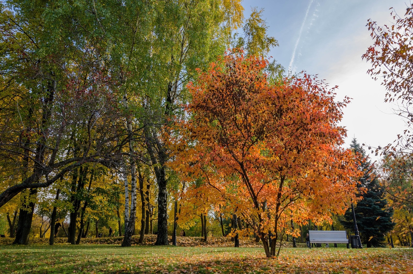 Autumn - My, Autumn, Landscape, Nature, Longpost